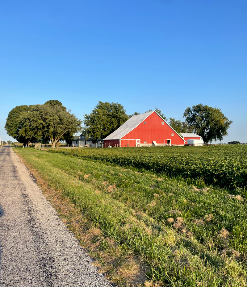 Pankey-Farm-House-Red-Barn-Crop-Field-Arthur-Illinois